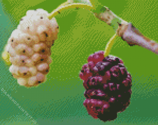 Close Up Mulberry Diamond Painting