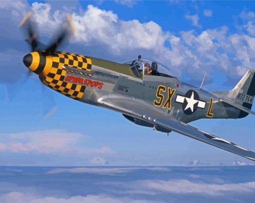 Cool P51 Mustang Fighter Diamond Painting