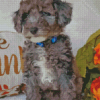 Cute Silver Goldendoodle Puppy Diamond Painting