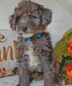 Cute Silver Goldendoodle Puppy Diamond Painting