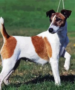 Fox Terrier Dog Diamond Painting