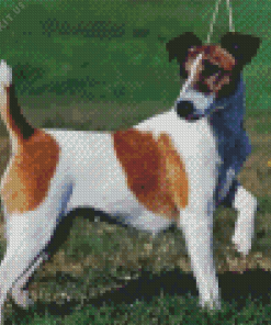 Fox Terrier Dog Diamond Painting