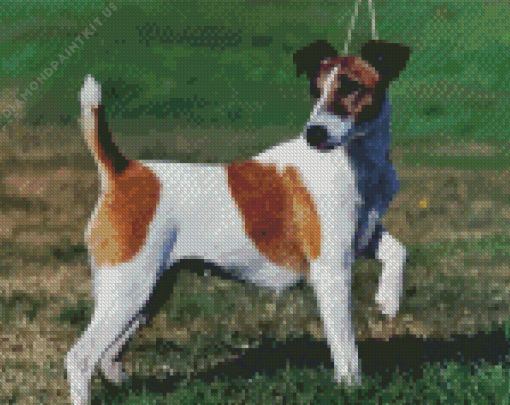 Fox Terrier Dog Diamond Painting