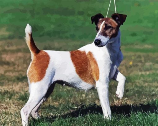 Fox Terrier Dog Diamond Painting