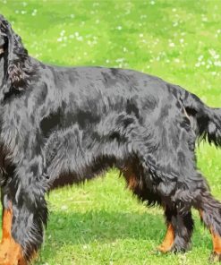 Gordon Setter Diamond Painting