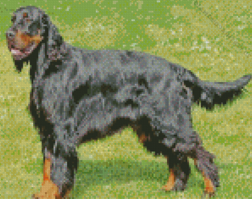 Gordon Setter Diamond Painting