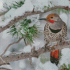 Northern Flicker In Winter Diamond Painting