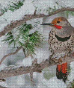 Northern Flicker In Winter Diamond Painting