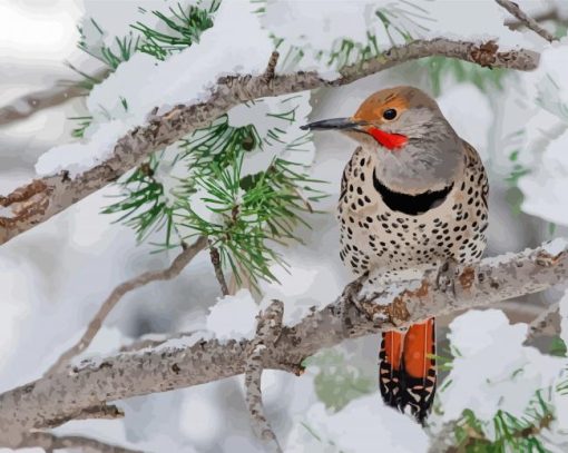 Northern Flicker In Winter Diamond Painting