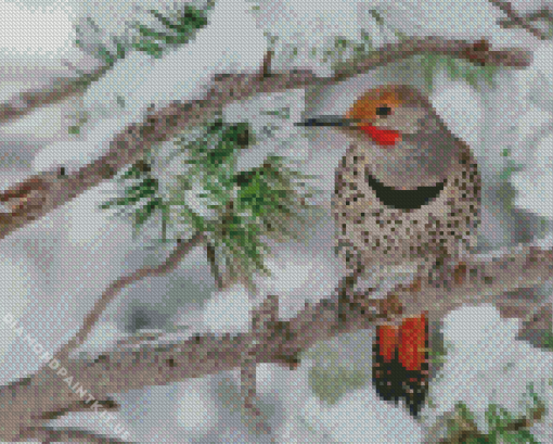 Northern Flicker In Winter Diamond Painting