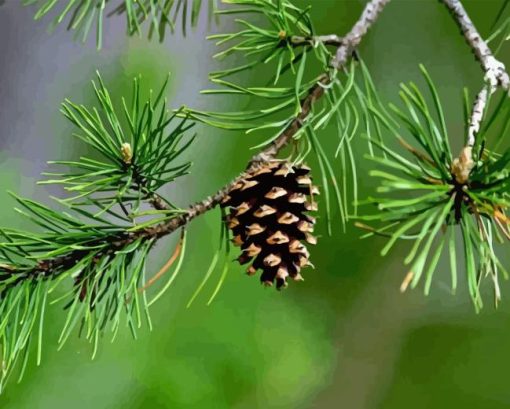 Pine Cones Plant Diamond Painting