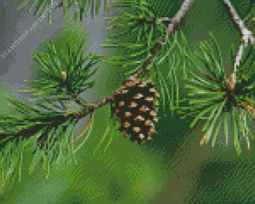 Pine Cones Plant Diamond Painting