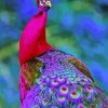 Pink And Purple Peacock Diamond Painting