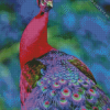 Pink And Purple Peacock Diamond Painting