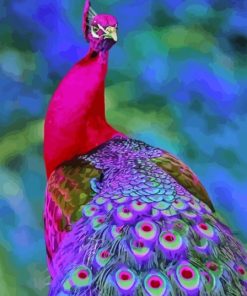 Pink And Purple Peacock Diamond Painting