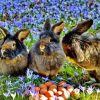 Rabbit in Flower Field Diamond Painting