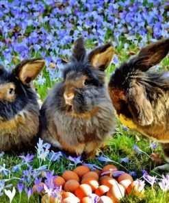 Rabbit in Flower Field Diamond Painting