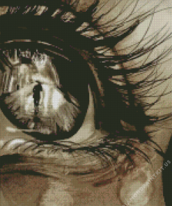 Sad Eye Diamond Painting