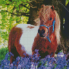 Shetland Pony Animal Diamond Painting