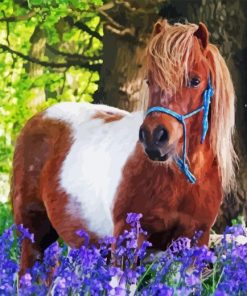 Shetland Pony Animal Diamond Painting