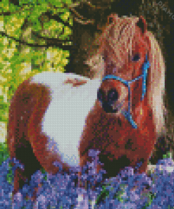 Shetland Pony Animal Diamond Painting