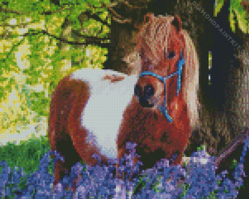 Shetland Pony Animal Diamond Painting