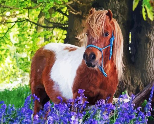 Shetland Pony Animal Diamond Painting