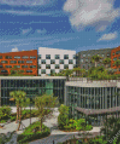 University of Miami in Florida Diamond Painting