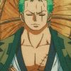 Zoro Sleeping One Piece Diamond Painting