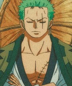 Zoro Sleeping One Piece Diamond Painting