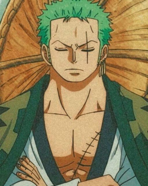 Zoro Sleeping One Piece Diamond Painting