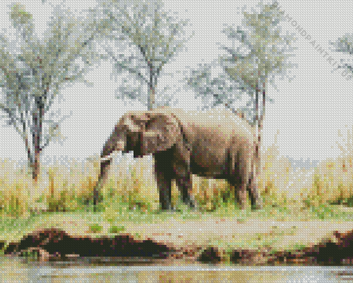 African Zambezi River Diamond Painting