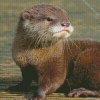 Cute Baby Otter Diamond Painting