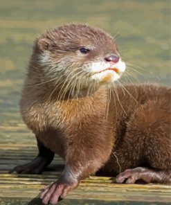 Cute Baby Otter Diamond Painting