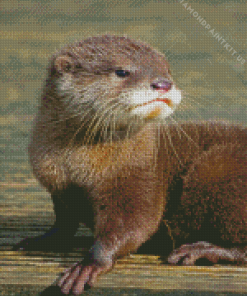 Cute Baby Otter Diamond Painting