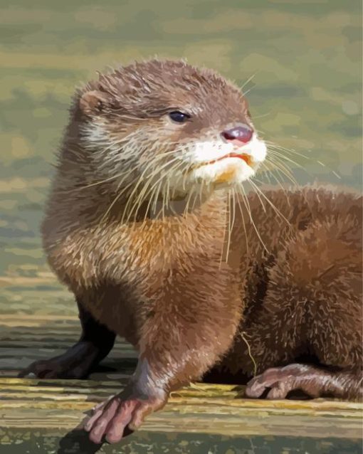 Cute Baby Otter Diamond Painting