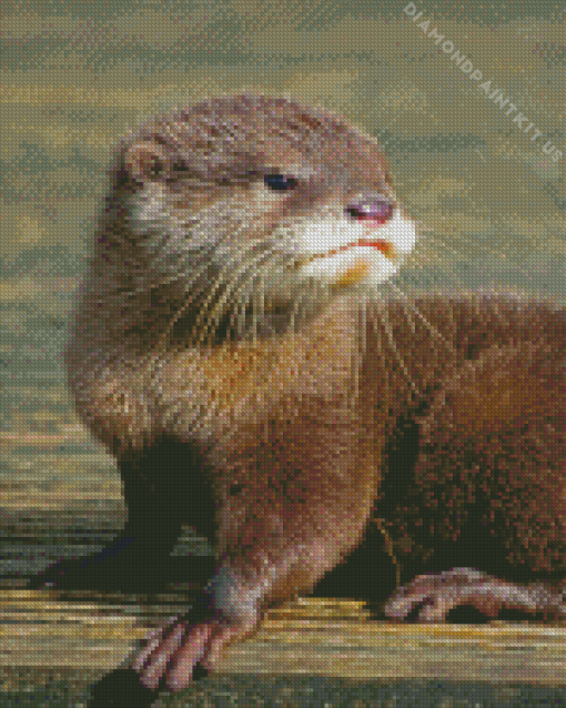 Cute Baby Otter Diamond Painting