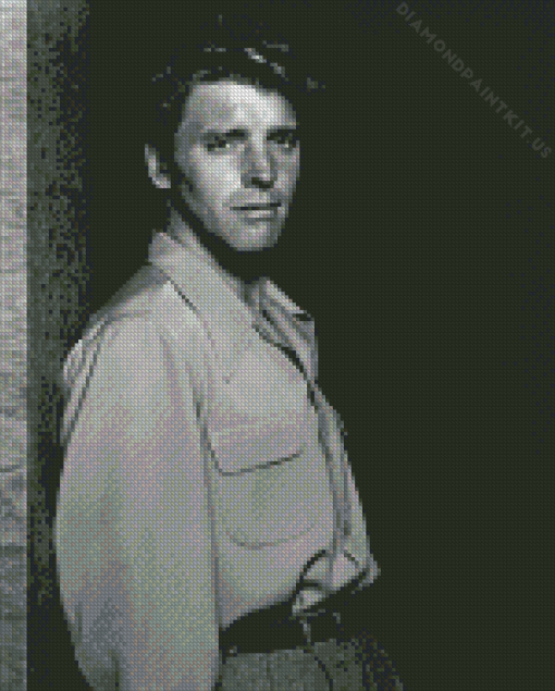 Burt Lancaster Actor Diamond Painting