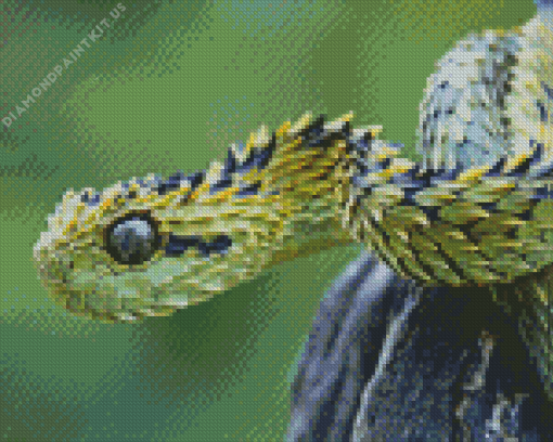 Bush Viper Diamond Painting