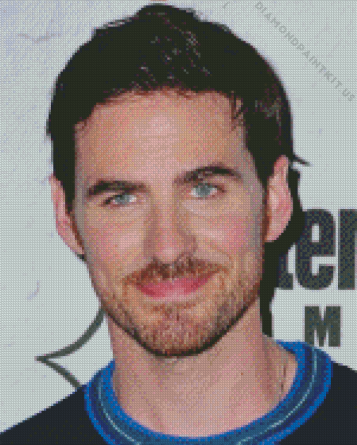 Colin O Donoghue Diamond Painting