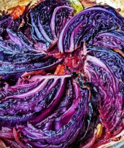 Purple Cabbage Diamond Painting