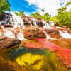 Cano Cristales River Diamond Painting