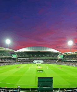 Cricket Ground Diamond Painting