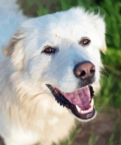 Cute Herding Dog Diamond Painting