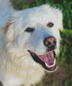 Cute Herding Dog Diamond Painting