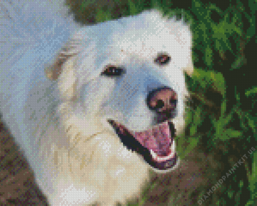 Cute Herding Dog Diamond Painting