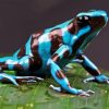 Dart Frog Diamond Painting