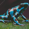 Dart Frog Diamond Painting