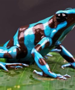 Dart Frog Diamond Painting