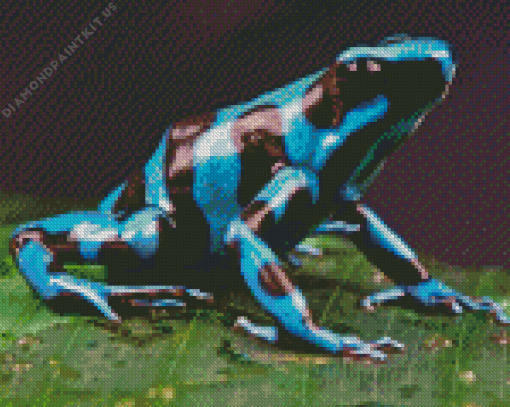 Dart Frog Diamond Painting